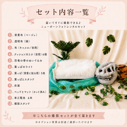ダイナソー